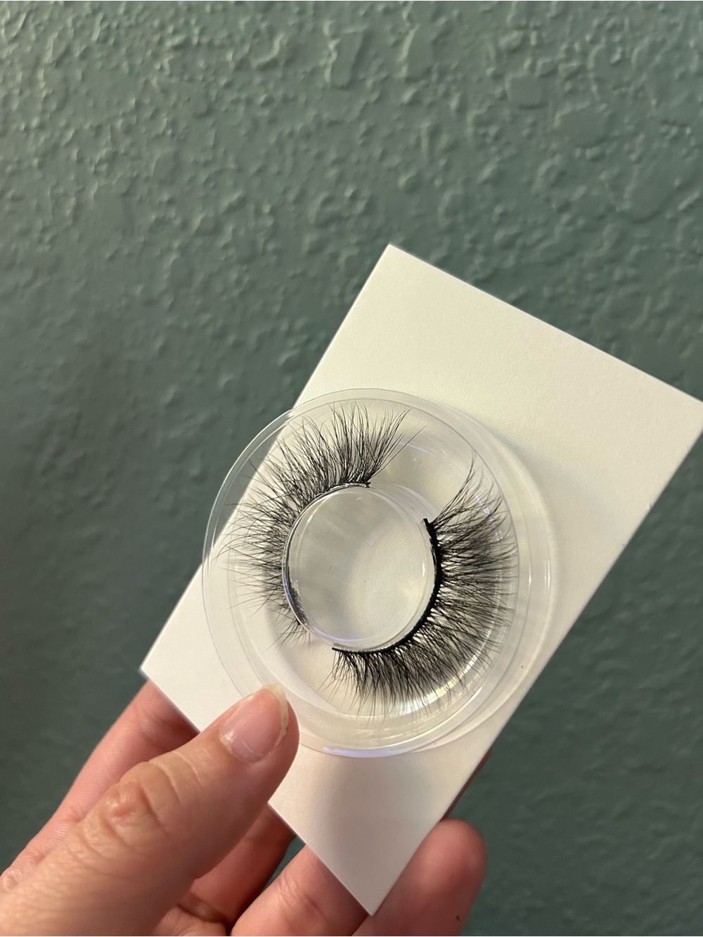 Lashes